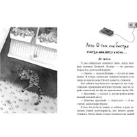Книга издательства Самокат. Кот прямо с неба (Шанская Анастасия) в Лиде