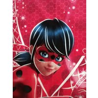 Постельное белье Непоседа LadyBug 504208 (1.5-спальный, наволочка 70x70)