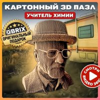 3Д-пазл QBRIX Учитель химии 3D 20039