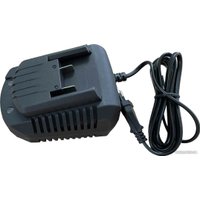 Зарядное устройство Edon OAF21-2400CB 1001010621 (21В)