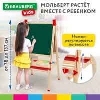 Мольберт BRAUBERG Растущий 3 в 1 238150