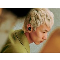 Наушники Bose QuietComfort Earbuds 2024 (черный)