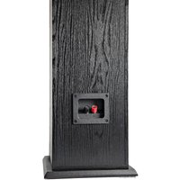 Напольная акустика Polk Audio T50