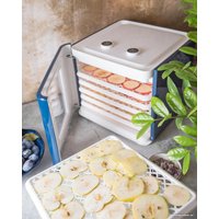 Сушилка для овощей и фруктов StarWind SFD6431