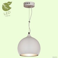 Светильник Lussole LOFT GRLSN-6126-01