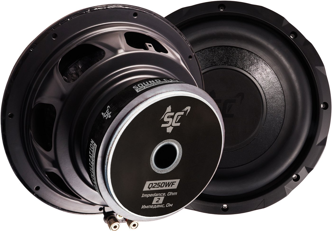 

Головка сабвуфера KICX Q250WF