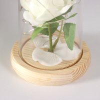 Настольная лампа Risalux Колба Роза 10539552 (белый)