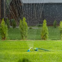 Распылитель Palisad 65792