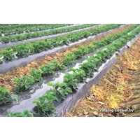 Укрывной материал Техсоюз Полюс Пленка сельскохозяйственная