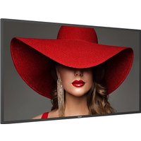 Информационная панель Philips 43BDL4650D/00