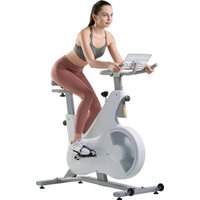 Велотренажер DFC Ovicx B-Q210W в Борисове