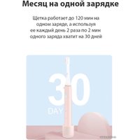 Электрическая зубная щетка Infly Sonic Electric Toothbrush P60 (1 насадка, серый)