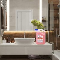  Золотой идеал Мыло жидкое Deluxe Персик 607496 5 л