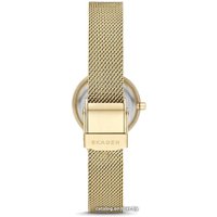 Наручные часы Skagen SKW2800