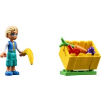 Конструктор LEGO Friends 41701 Рынок уличной еды