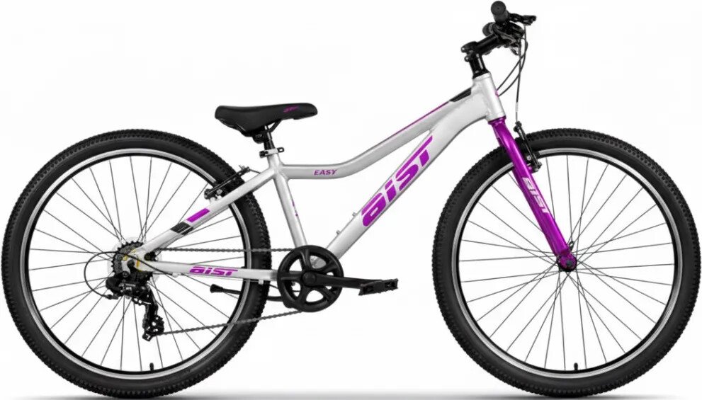 

Велосипед AIST Easy р.15 26 2025 (серебристый)