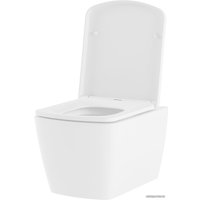 Унитаз подвесной Lavinia Boho Aveo Rimless 21010008 (чаша, пневмокрышка, шум-я)