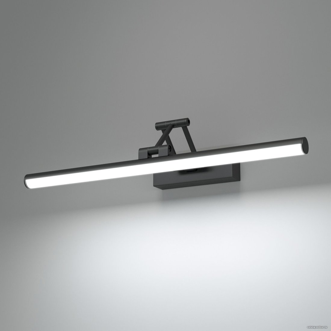 Подсветка для картин Elektrostandard Monza 40128/LED (черный)