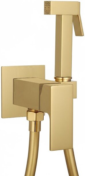 

Гигиенический душ Roxen Caspia 50096000-GB