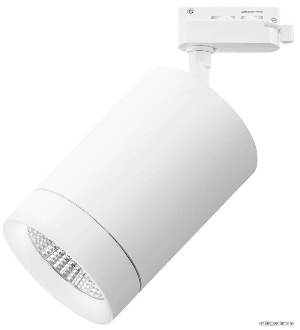 Трековый светильник Lightstar Canno 303262