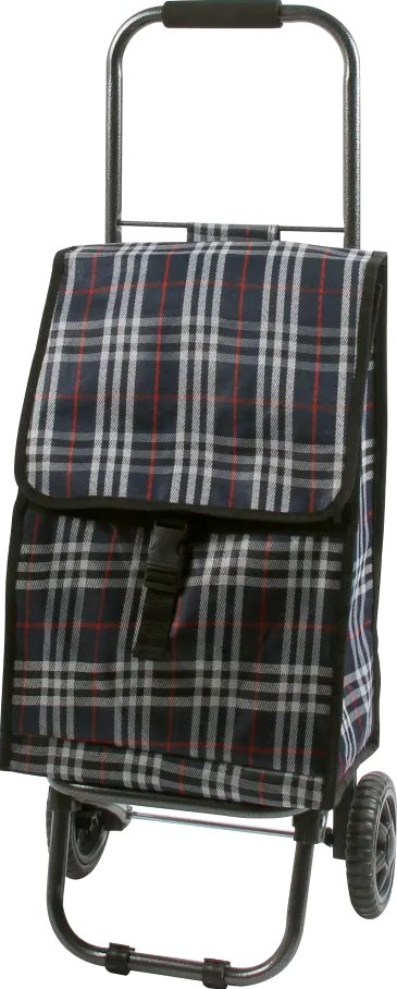 

Сумка-тележка Рыжий кот D203ECO Tartan