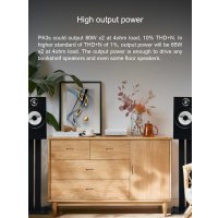 Усилитель мощности Topping PA3s (серебристый)