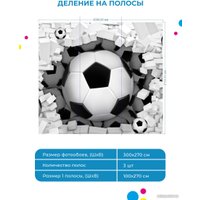 Фотообои ФабрикаФресок Футбольные мячи из стены 723270 (300x270)