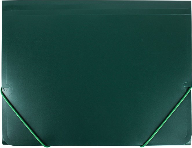 

Папка для бумаг Darvish DV-09715IE-GN (зеленый)