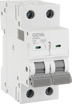 

Выключатель автоматический GEYA GYM9H-2P-25C 2P 25A C 10kA 2M GYM9H2P25C
