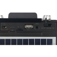 Радиоприемник Soundmax SM-RD2114UB