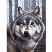 Картина по номерам Белоснежка Волк 090-AS