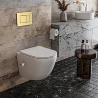 Унитаз подвесной Roxen Antares Bidet в комплекте с инсталляцией StounFix Dual Fresh 6 в 1 968457 (кнопка: брашированное золото)