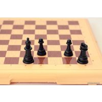 Шахматы Десятое королевство 03883