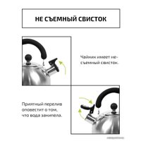 Чайник со свистком TimA WTK160