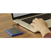 Внешний накопитель WD My Passport Go 1TB WDBMCG0010BBT