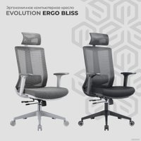 Офисное кресло Evolution ERGO BLISS Black (черный)