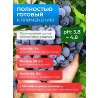Удобрение Florovit минеральное для голубики 1 кг