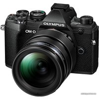 Беззеркальный фотоаппарат Olympus OM-D E-M5 Mark III Kit 12-40mm (черный)