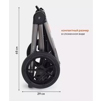 Универсальная коляска Rant Flex Pro RA074 2023 (2 в 1, черный)