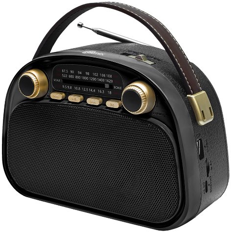 Радиоприемник Ritmix RPR-040 (черный)