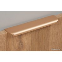 Ручка мебельная Boyard Monte RT110SG.1/160/200