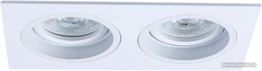 Точечный светильник Arte Lamp Tarf A2178PL-2WH