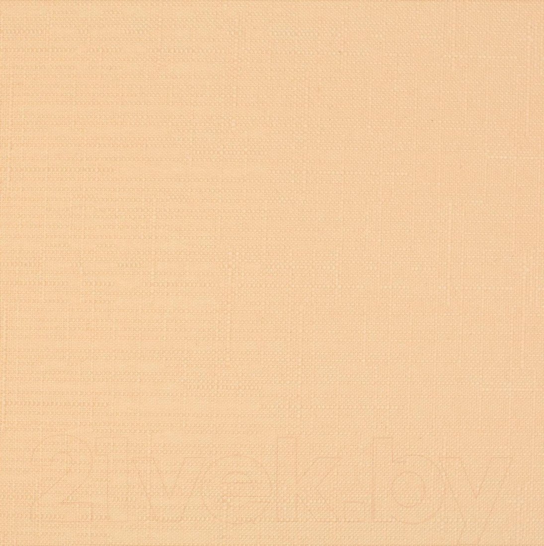 

Рулонные шторы Lm Decor Лайт LM 30-10С 85x160