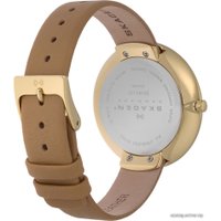 Наручные часы Skagen SKW2137 в Пинске
