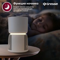 Очиститель воздуха Gressel GPF-1001