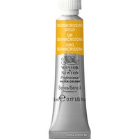 Акварельные краски Winsor & Newton Professional №547 102547 (5 мл, хинакридон золотой)