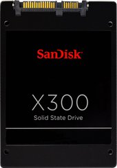 X300 256GB (SD7SB6S-256G-1122)