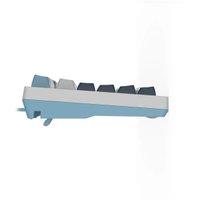 Клавиатура A4Tech Fstyler FS300 Panda Snowboarding