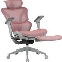 Офисное кресло Evolution LX 3 Burgundy (розовый)