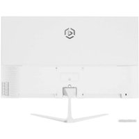 Монитор Raskat I24F10DAW